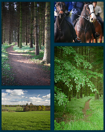 Horse riding and livery facilities at Newton of Straloch Stables Newmachar, Aberdeenshire